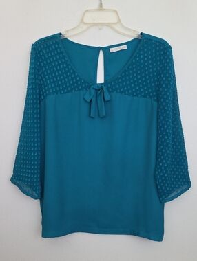 Hinge Emerald Green Dotted Swiss Pullover Top L